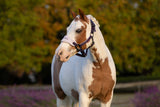 LeMieux Mini Vogue Headcollar & Leadrope