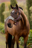LeMieux Vogue Headcollar & Leadrope