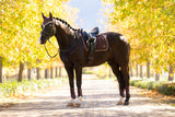 LeMieux Loire Classic Dressage Square Saddle Pad