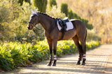 LeMieux General Purpose GP Suede Square Pad - New for Fall 2025