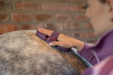 LeMieux Flexi Curry Comb - Seasonal Colors