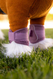 LeMieux Toy Pony Arika Mesh Brushing Boots - Seasonal Colors