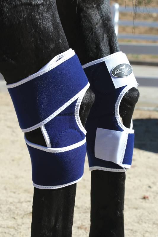 Professional's Choice Magnetic Hock Boots