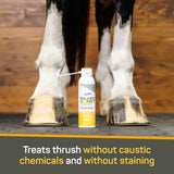 Silver Honey Rapid Hoof Care Thrush Foam