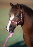 Professional's ChoiceEasy On Pony Rope Halter