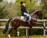 Breyer Salvino