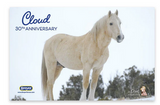Breyer Cloud 30th Anniversary Edition