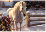 Leanin Tree White Horse Looking Over Fence Boxed Christmas Glitter Cards