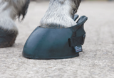 Shires Temporary Shoe Boot