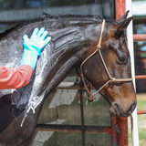 Classic Equine Wash Glove