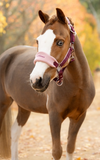 LeMieux Vogue Headcollar & Leadrope