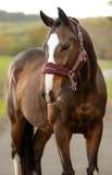 LeMieux Breakaway Vogue Headcollar & Leadrope