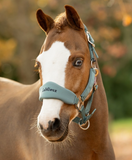 LeMieux Breakaway Vogue Headcollar & Leadrope
