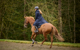 Kerrits Storm Stopper Waterproof Coach's Coat
