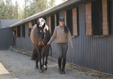 Kerrits Etched Equine Half Zip Sweatshirt