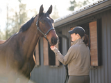 Kerrits Etched Equine Half Zip Sweatshirt