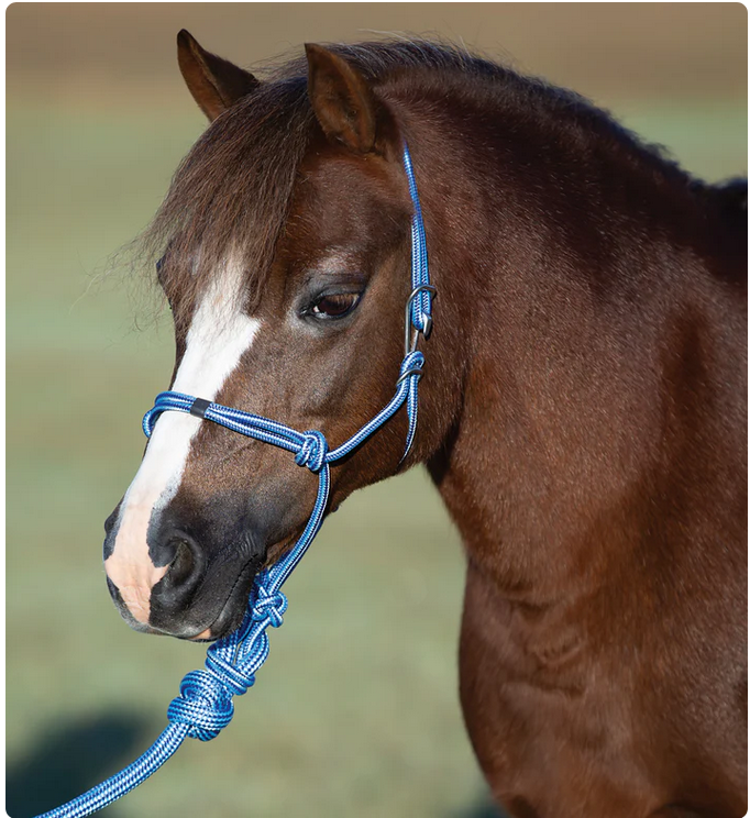 Professional's ChoiceEasy On Pony Rope Halter