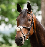 Horseware Figure 8 Grackle Bridle