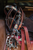 Circle Y Southwestern Beaded Browband Headstall