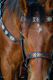Circle Y Southwestern Beaded Browband Headstall