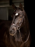 LeMieux Arika Drop Noseband Bridle