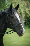 ThinLine Bitless Noseband