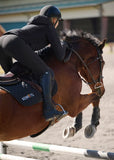 Kerrits Fusion II Full Leg Clinic Breech