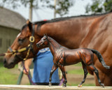 Breyer Cody's Wish