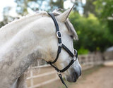 Vivace Equine Davino Croc Halter