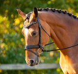 Black Oak Daphne Bridle