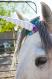 Circus Unicorn Shop Unicorn Horn for Horse