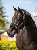 LeMieux Vogue Headcollar & Leadrope