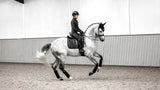 LeMieux Loire Classic Dressage Square Saddle Pad