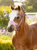 LeMieux Vogue Headcollar & Leadrope - Seasonal Colors