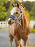LeMieux Vogue Headcollar & Leadrope - Seasonal Colors