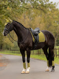 LeMieux Loire Classic Dressage Square - Seasonal Colors
