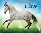 Breyer Jaguel Hilton | Criollo Stallion