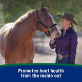 Horseshoer's Secret Hoof Supplement