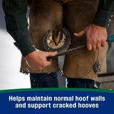 Horseshoer's Secret Hoof Supplement