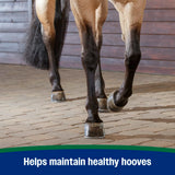 Horseshoer's Secret Hoof Supplement