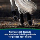 Horseshoer's Secret Hoof Supplement