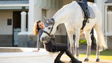 LeMieux Suede Dressage Square Saddle Pad