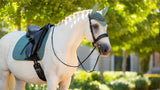 LeMieux Suede Dressage Square Saddle Pad