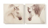 Canvas Wall Print White Horses Asst