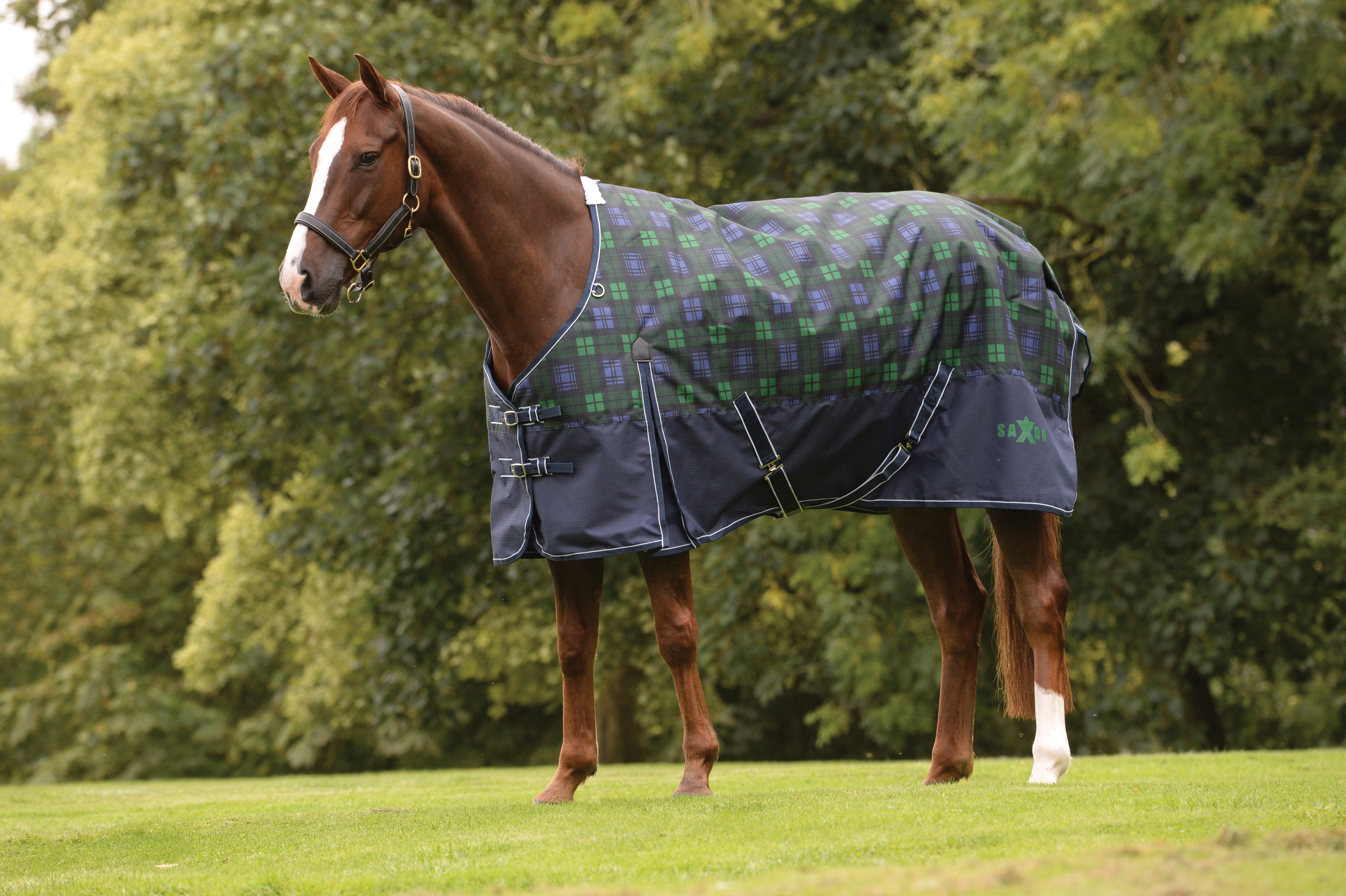 Saxon 1200D Standard Neck Turnout Sheet Lite (0g) Tack Room Too