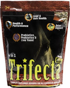 Horse Guard Trifecta 4-in-1 Horse Supplement