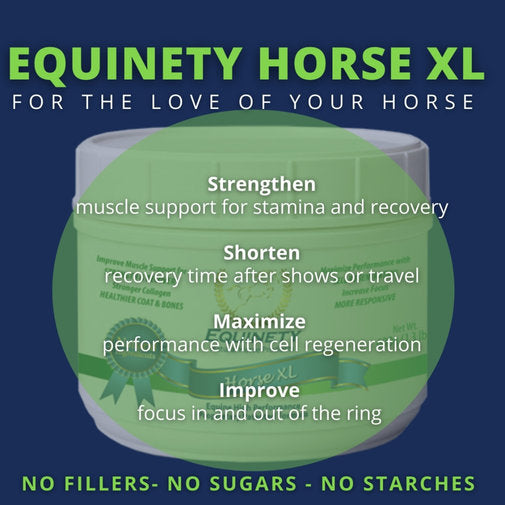 Horse XL Supplement Tack Room Too