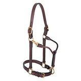 Weaver 1" Track Leather Halter