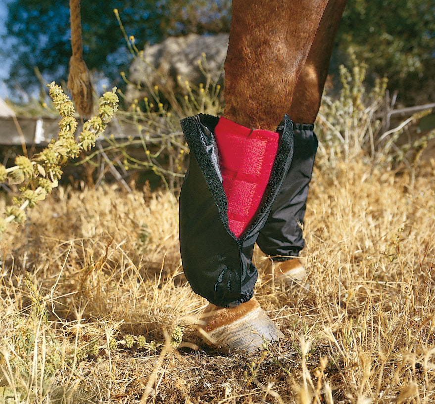 Sports Medicine Boots Covers-Medium Boot