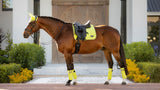 LeMieux Classic Polo Bandages